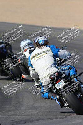 media/Nov-12-2023-SoCal Trackdays (Sun) [[5d1fba4e7d]]/Turn 10 Backside (115pm)/